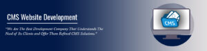 CMS Website Development Company in Delhi 