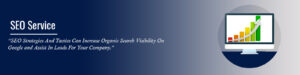  SEO Service Company in Delhi