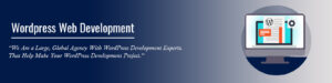 wordpress development
