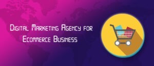 Digital Marketing Agency for Ecommerce Business